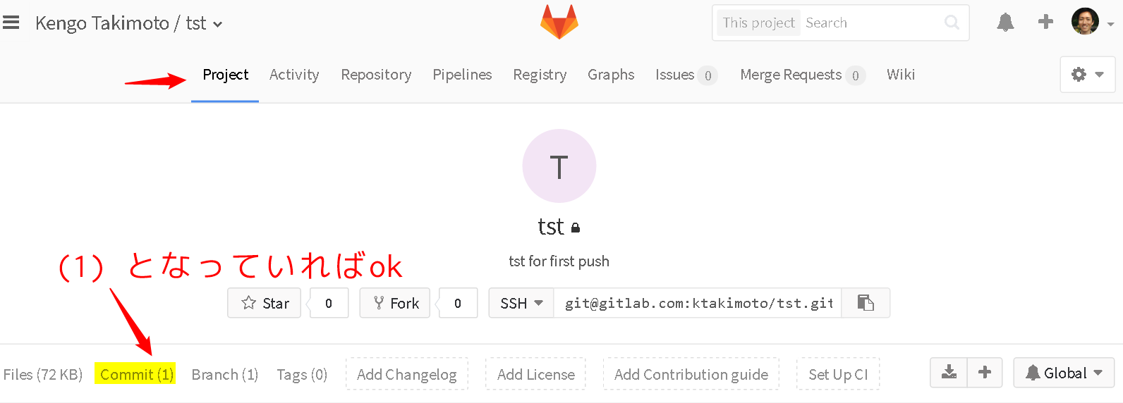 GitLab check be pushed