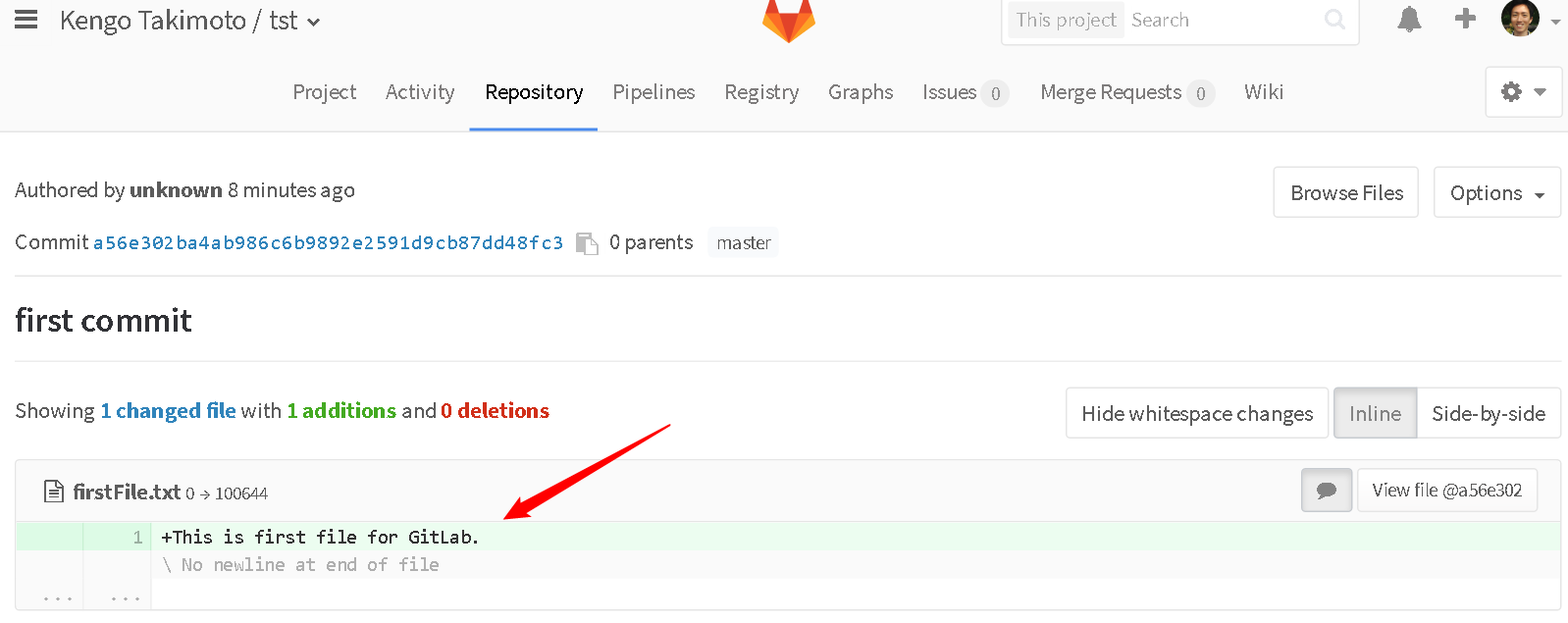 GitLab check pushed files